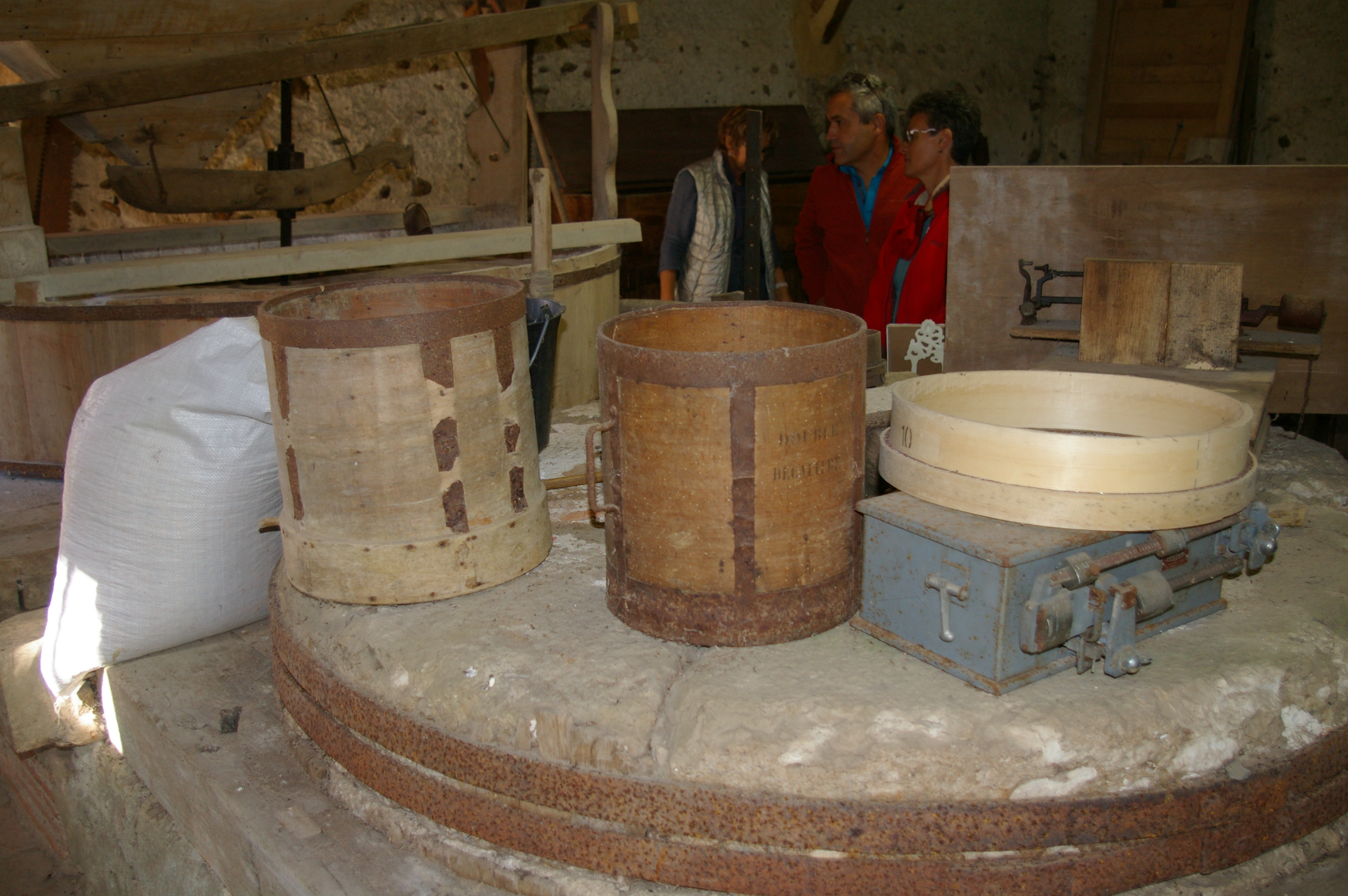 IMGP1577.JPG