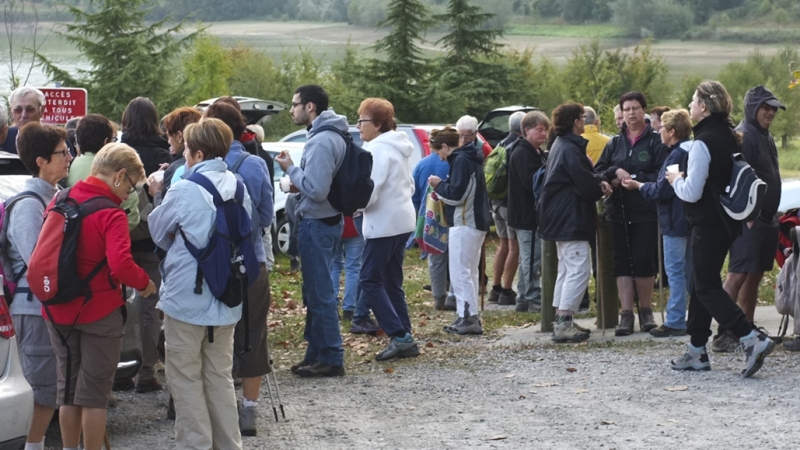 DUFFORT La ronde des Haricots