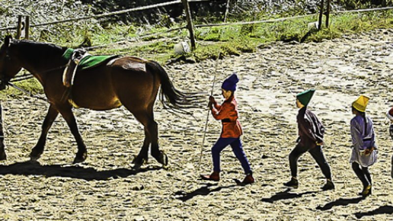 Succès de la Fête du cheval à Benquet