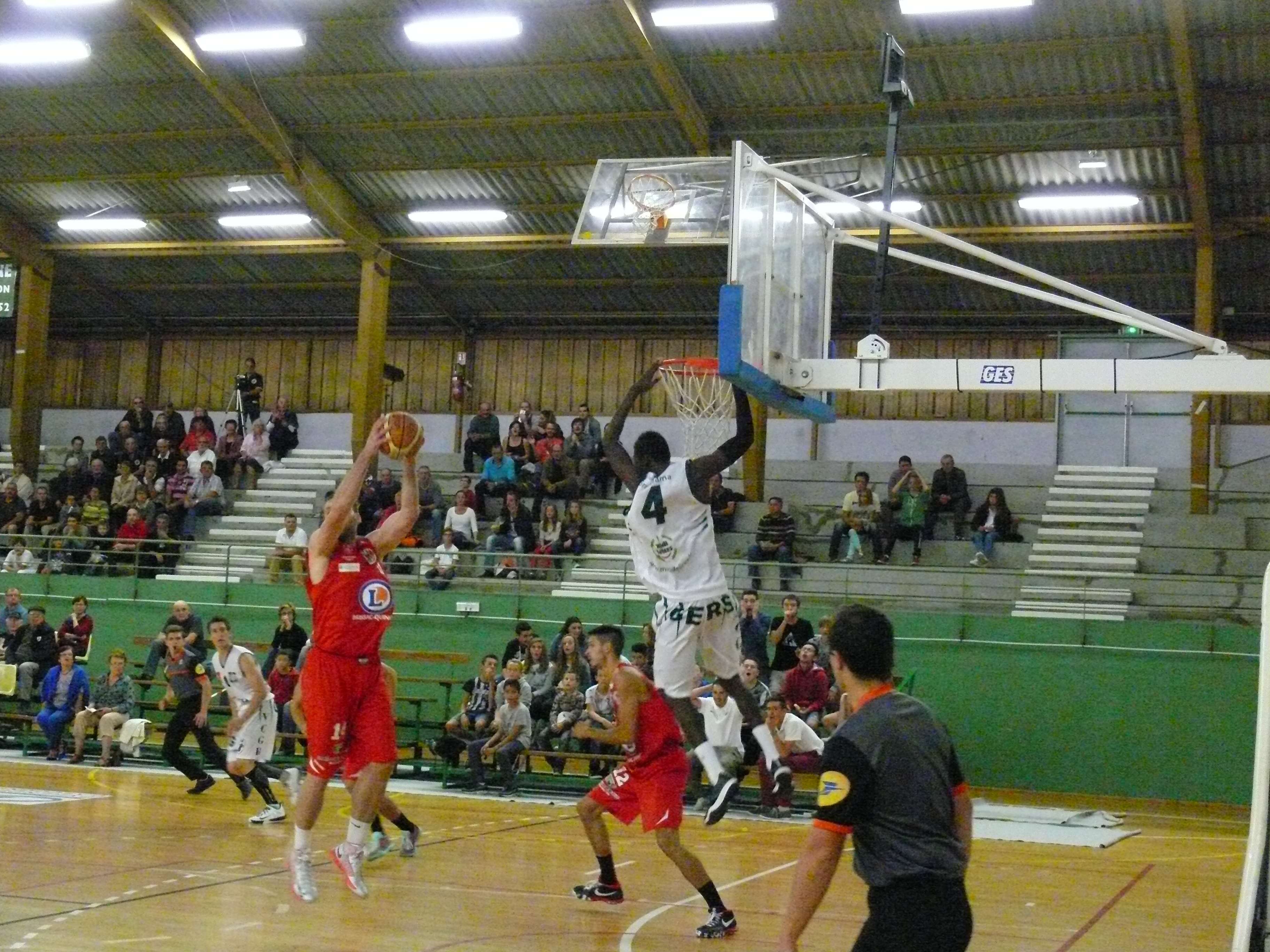 P1200546.JPG