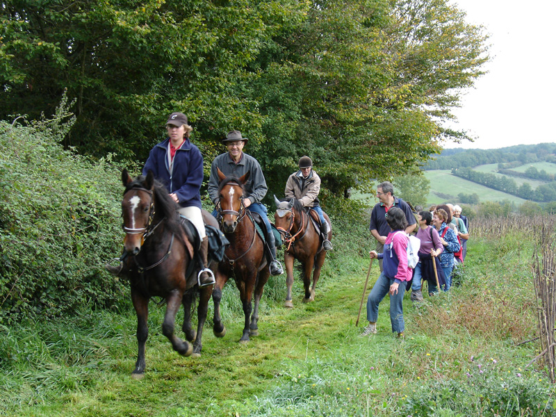 Rando Equestre 014.jpg