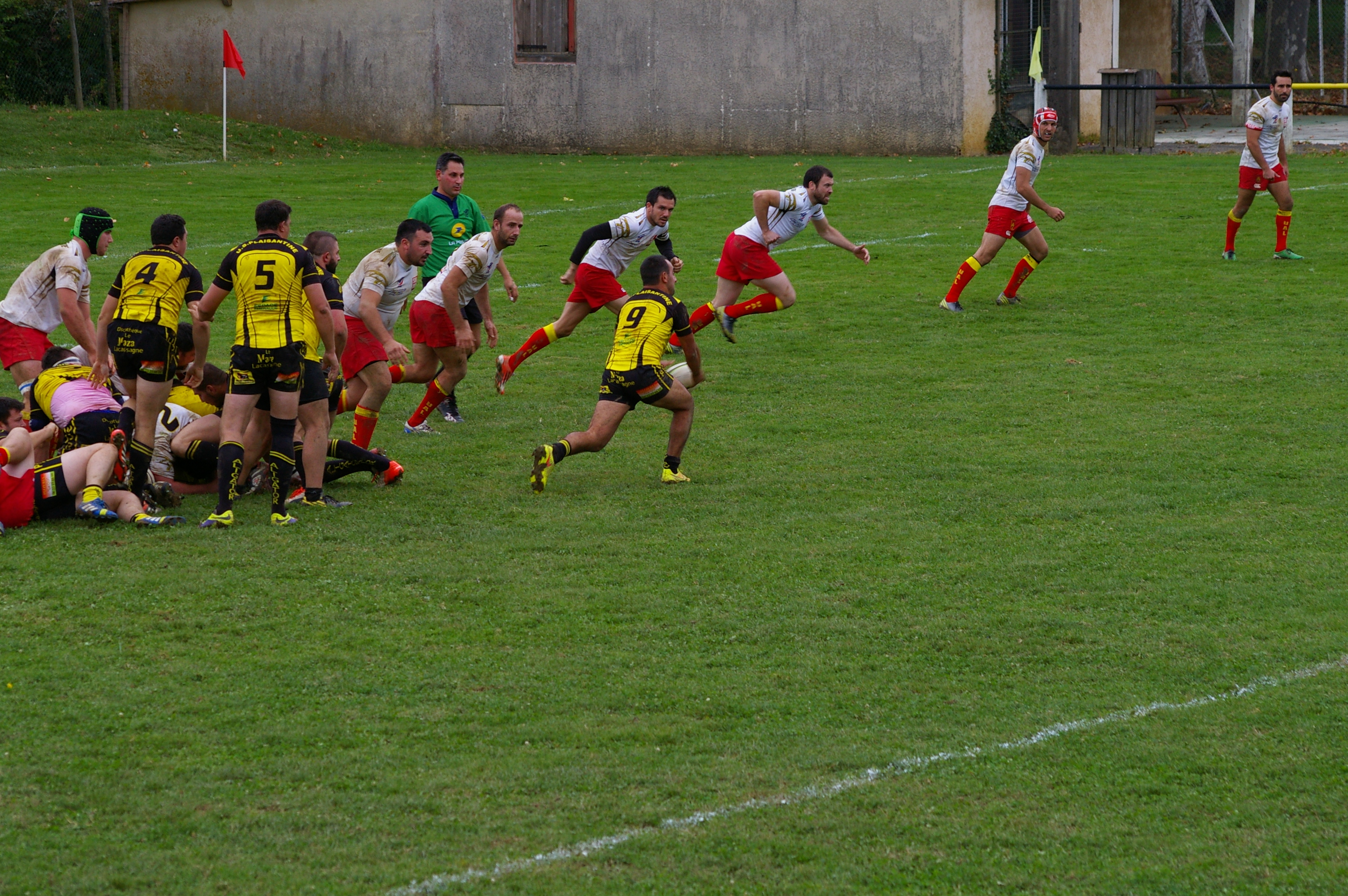 IMGP1641.JPG