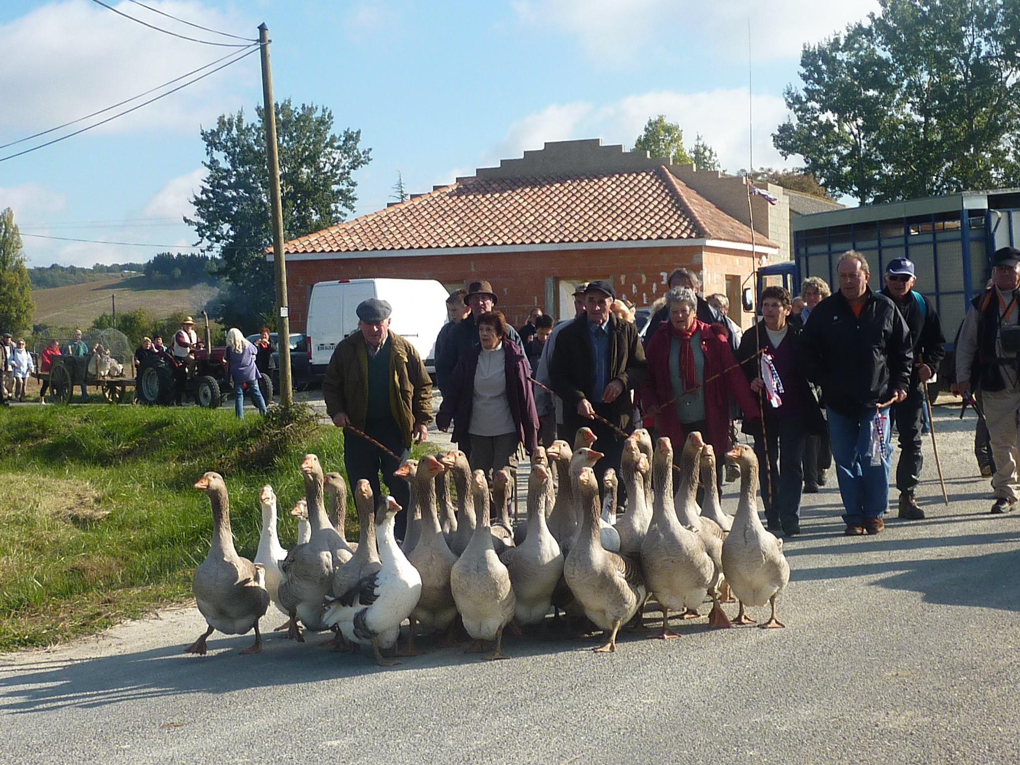 P1000750.JPG
