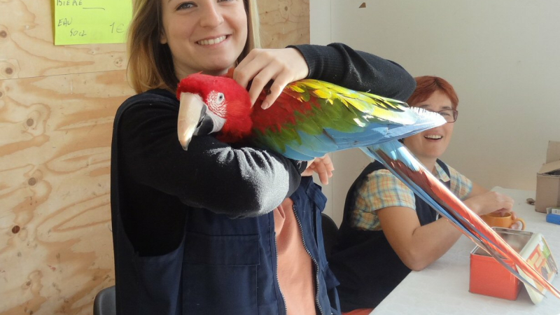 Beau succès pour l'expo-vente d'oiseaux exotiques et de volière 