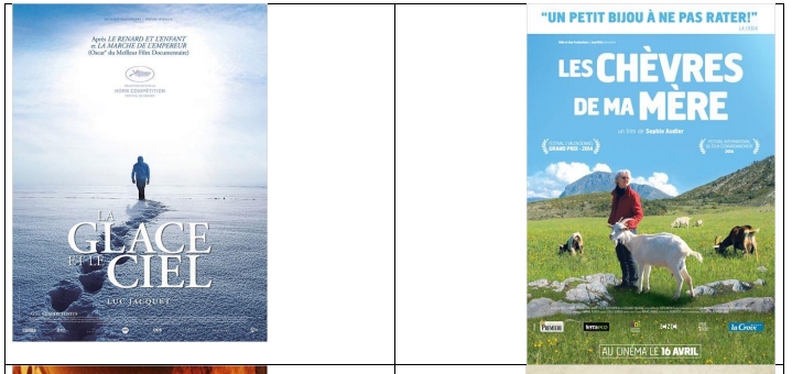 cinema photp2.jpg