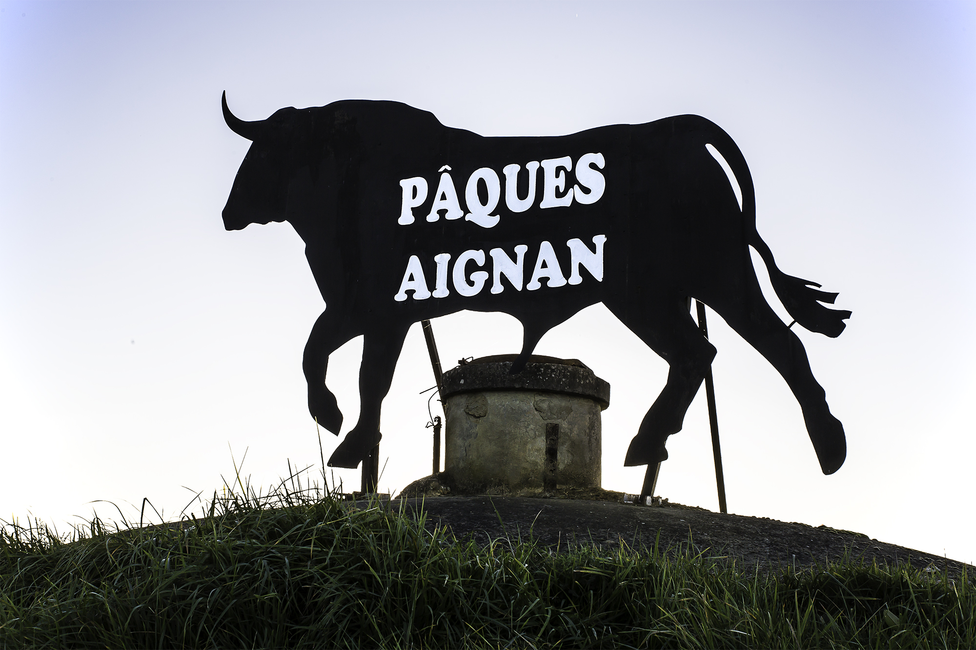 Toro dominant la vallée sur Aignan 1bis 301115.jpg