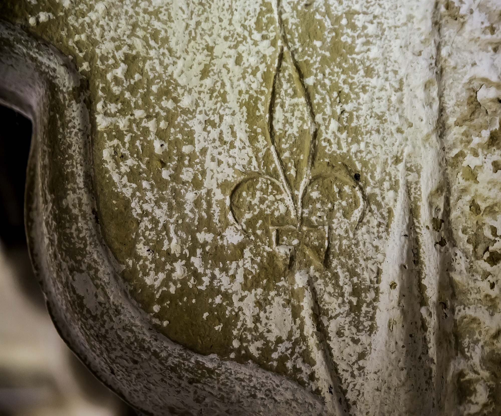11 Fleur de lis sur la cheminée11 1bis 051215.jpg