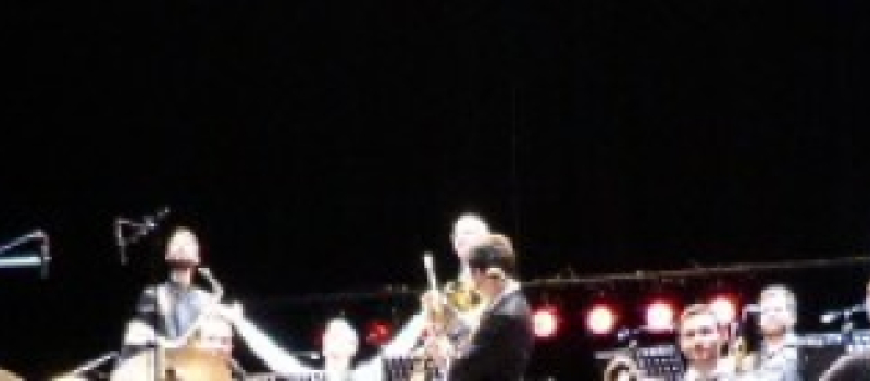 Marciac le carnaval jazz des animaux