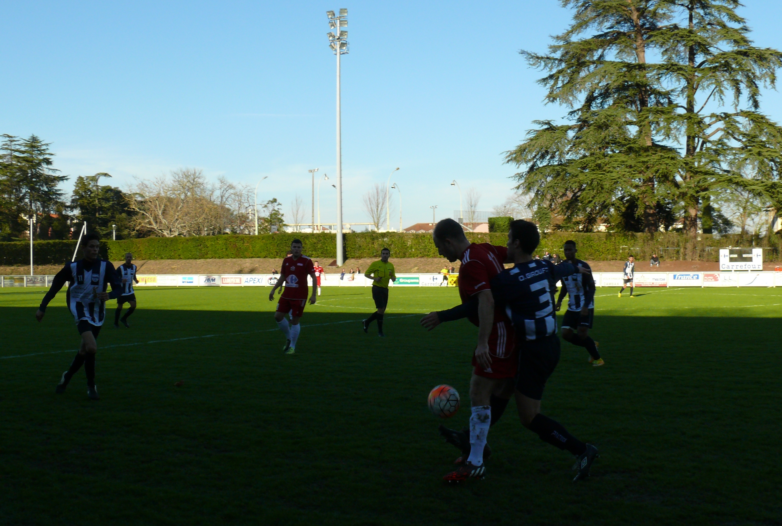 P1210983.JPG