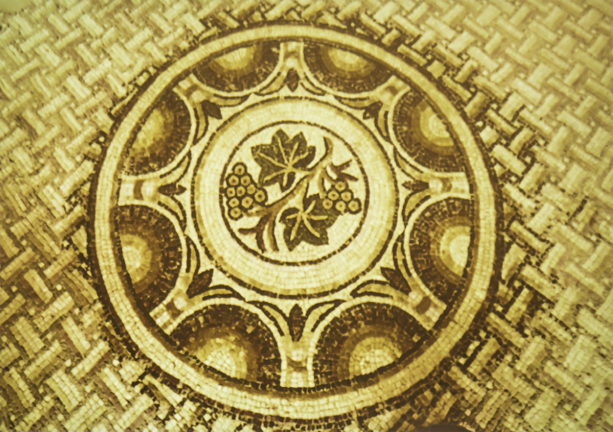 Mosaïque de Séviac à Montréal-du-Gers 1bis 091215.jpg