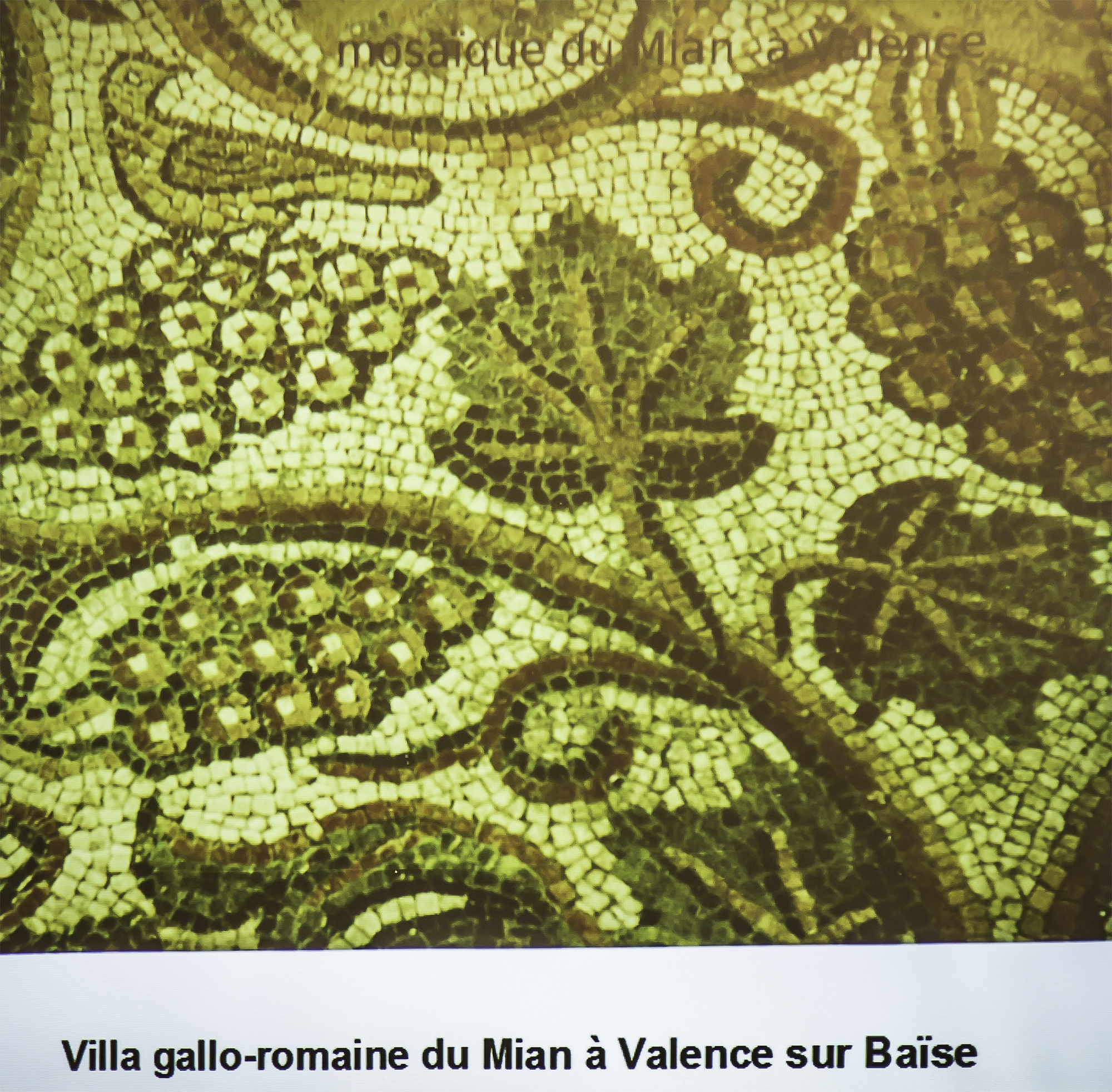 Mosaïque du Mian à Valence 1bis 091215.jpg