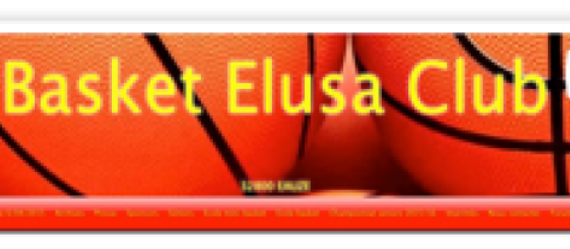 BASKET-BALL Eauze champion des Pyrénées