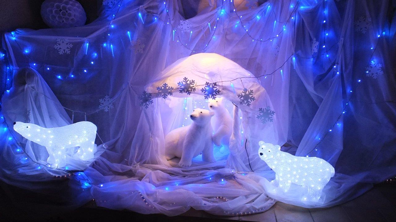 DSCF0192.jpg