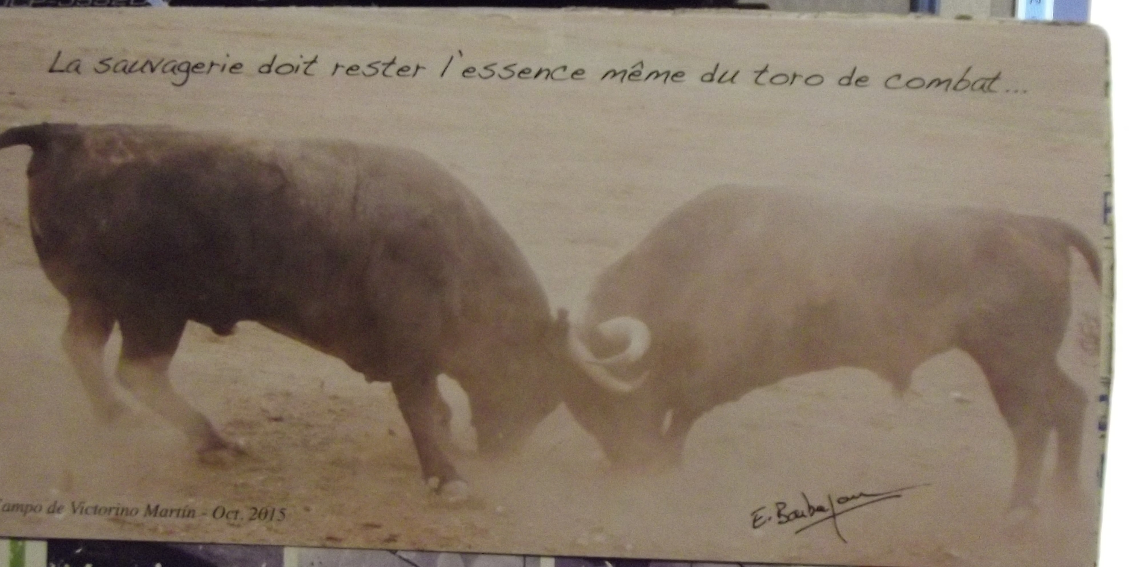 DSCF3159.JPG