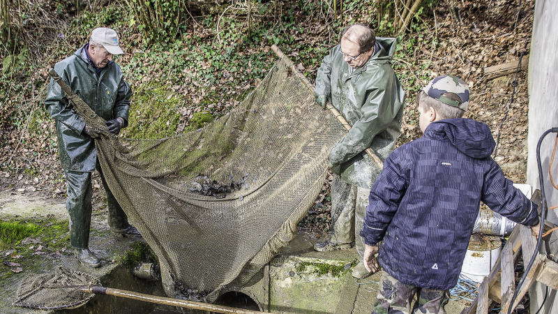 A Perchède, la pêche a été bonne et le poisson aussi…