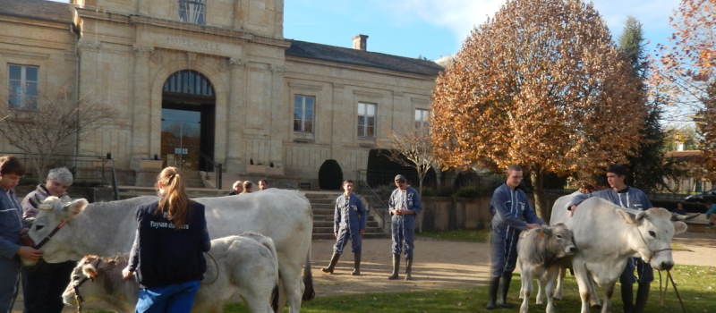 Le lycée de Valentées à l'honneur au salon de l'agriculture