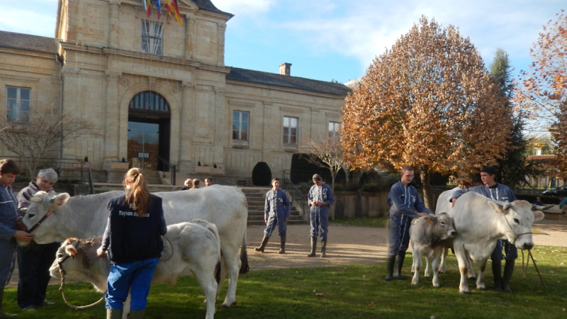 Le lycée de Valentées à l'honneur au salon de l'agriculture