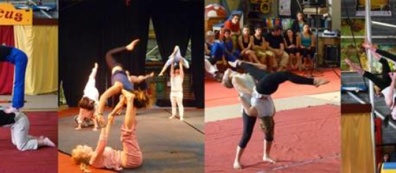 Qu’est-ce que c’est que ce cirque ?