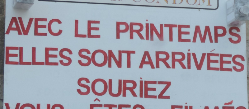 Les  poissons ont quitté la Baïse