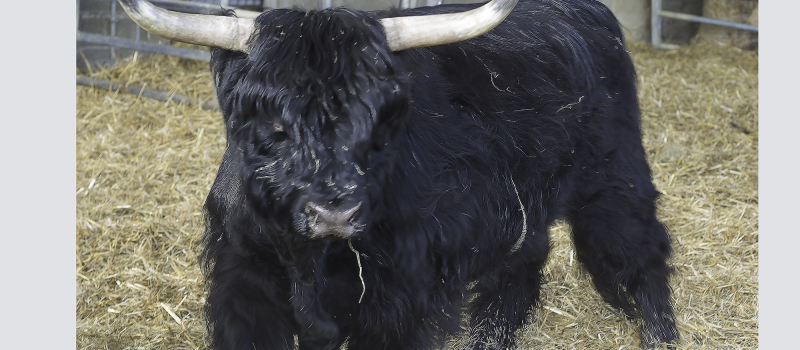 Un jeune agriculteur s'installe à Mormès pour faire du bio
