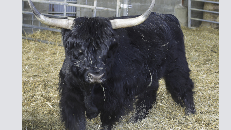 Un jeune agriculteur s'installe à Mormès pour faire du bio