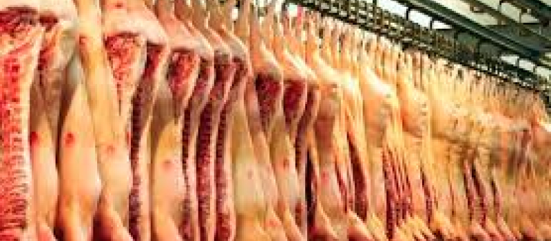 Bien-être animal, vers de nouvelles dispositions