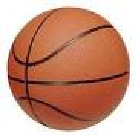 basket ballon.jpg