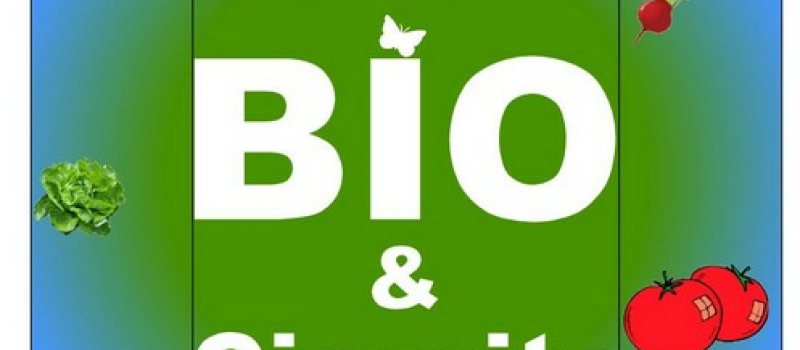 PAVIE Le 1 er MARCHE BIO ET CIRCUITS COURTS 