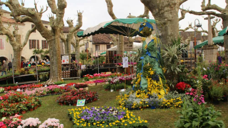 Marché aux fleurs, des couleurs et de la musique