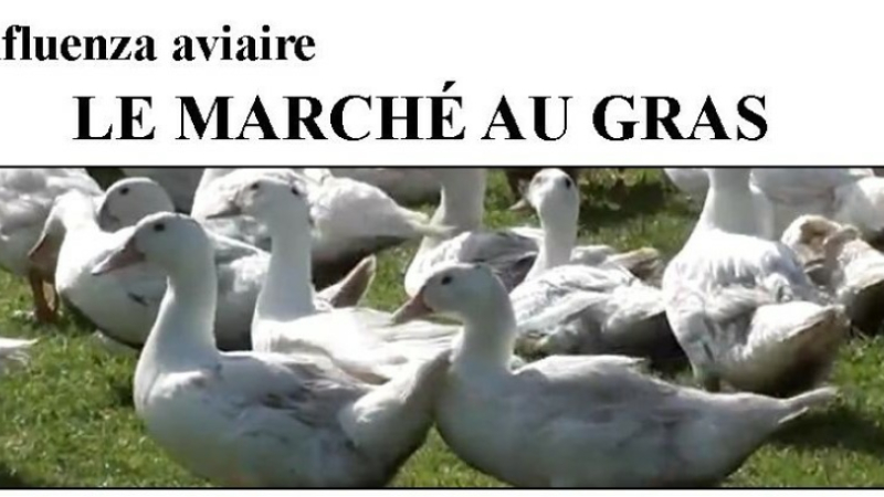 SAMATAN - note de la municipalité -