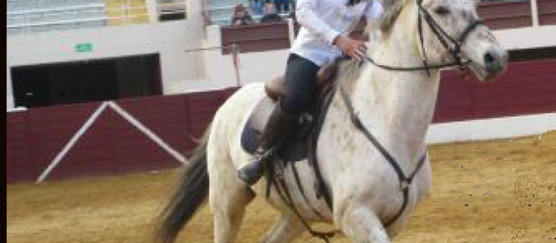 Foire du cheval