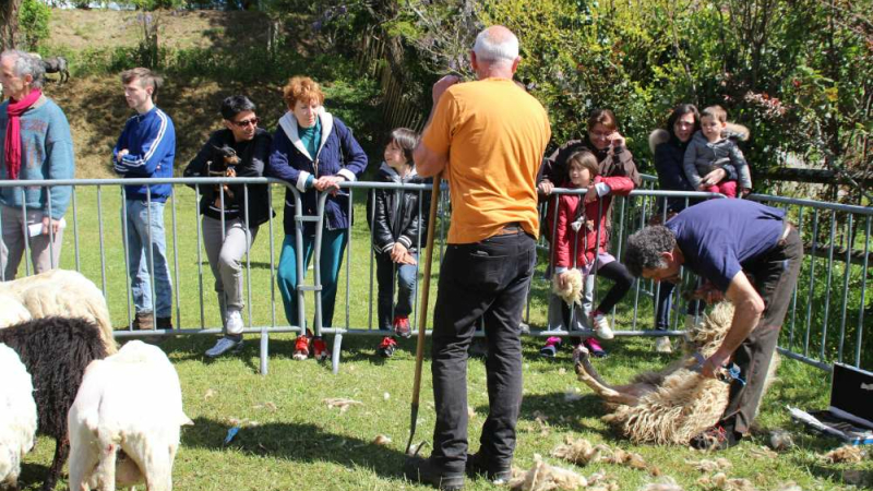 La fête autour du mouton