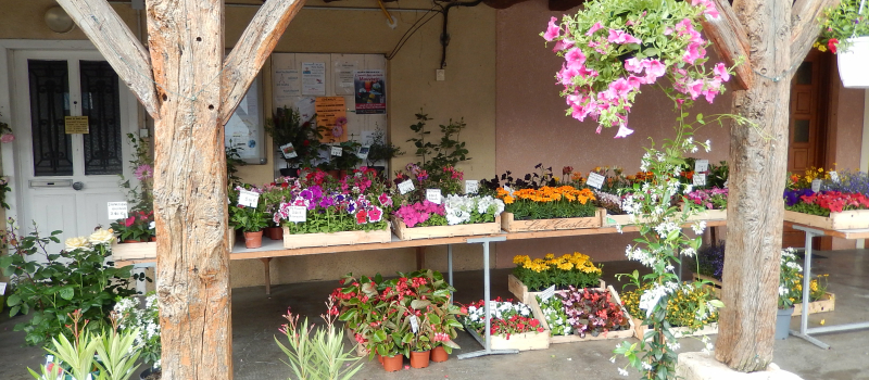 MARCHE AUX FLEURS à SAINT SAUVY