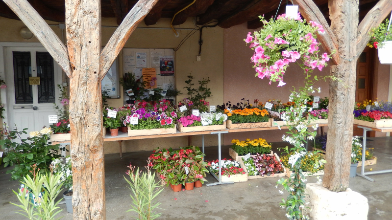 MARCHE AUX FLEURS à SAINT SAUVY