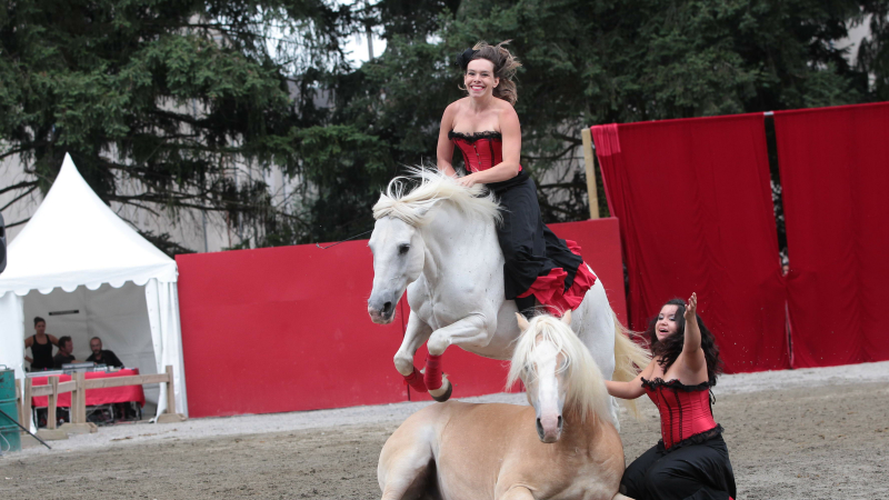 Spectacle équestre original au Théâtre de Verdure 