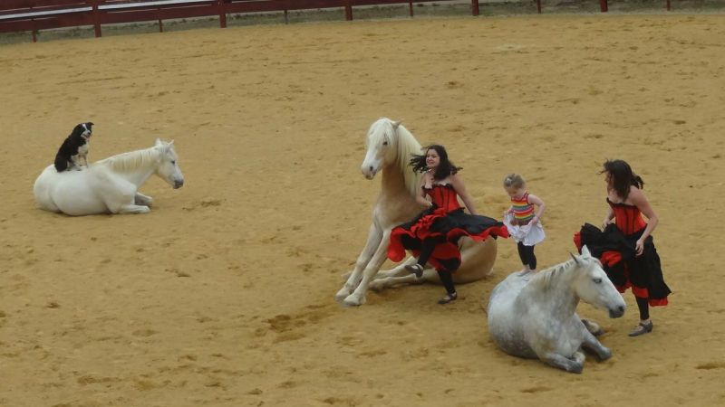Superbe spectacle équestre avec Equifoliz et Equivolt 