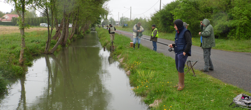 Echos de la Gaule Plaisantine 