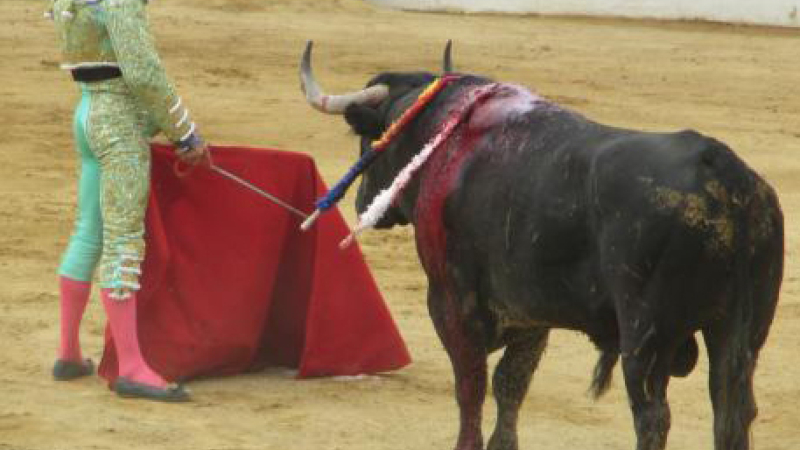 Bilan de la feria