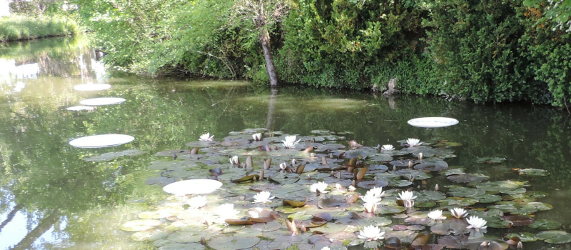 Chemins d’Art en Armagnac 