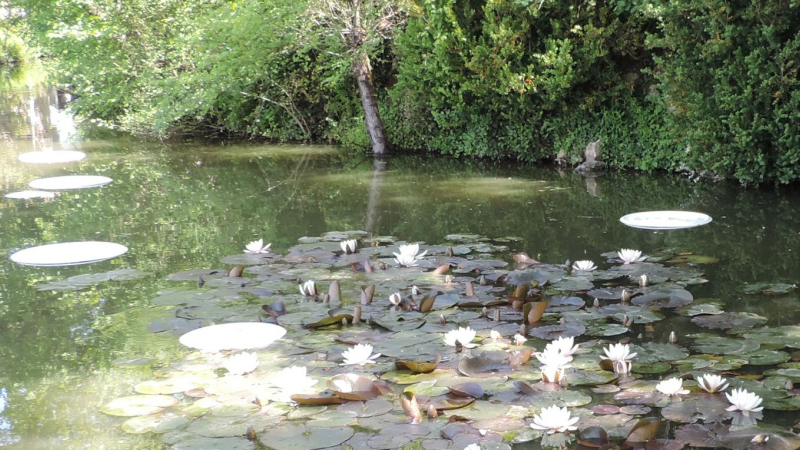 Chemins d’Art en Armagnac 