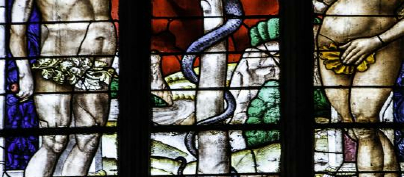 Vitraux de la cathédrale Sainte Marie d'Auch