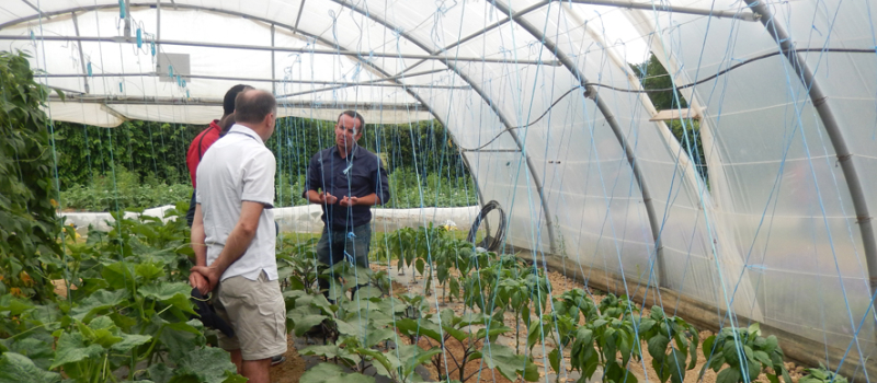 Visite au jardin du Caillaoué