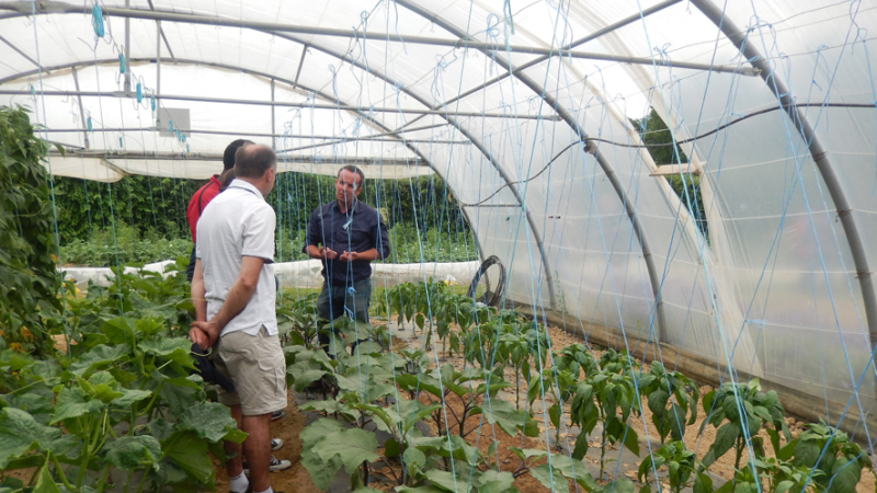 Visite au jardin du Caillaoué