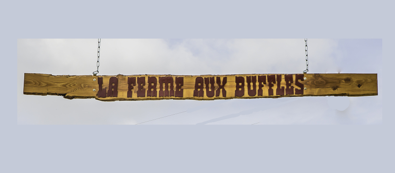 Aignan: la Ferme aux buffles va ouvrir une auberge dans un site superbe