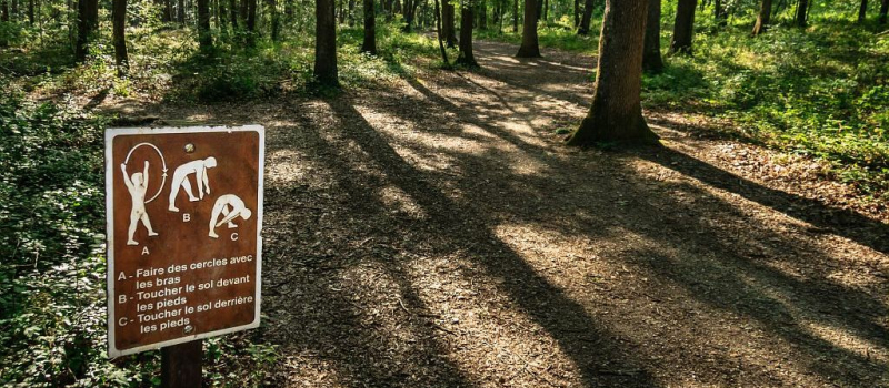 Bougez le samedi ! Ce sera au bois d'Auch le samedi 25 juin
