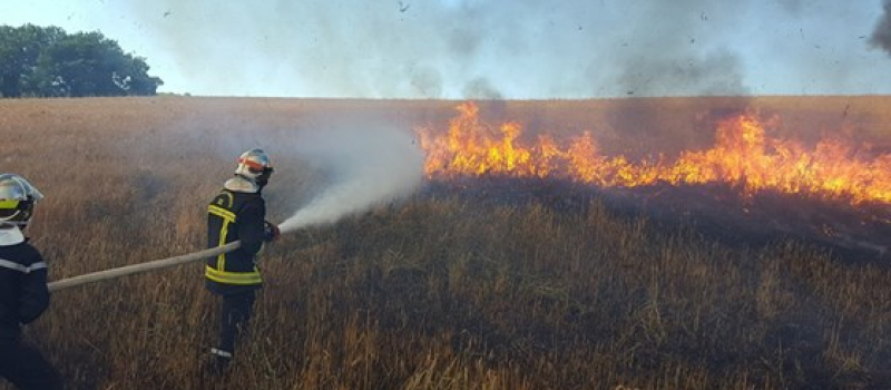 Feu de récolte à Labéjan