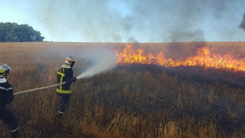 Feu de récolte à Labéjan