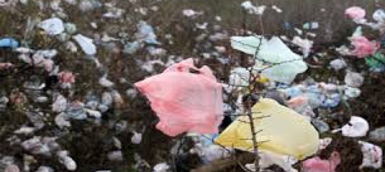 sac plastique pollution.jpg