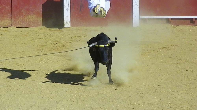 Estang : Deux spectacles pour le prix d’un