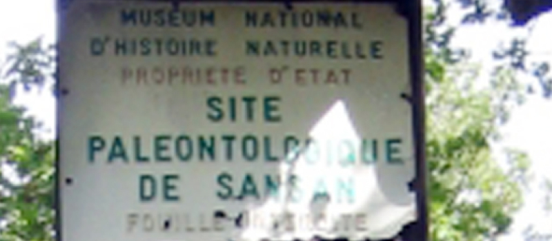 Avec la Communauté de Communes Val de Gers, le site fossilifère de Sansan devrait sortir de l'anonymat 